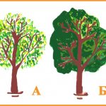 How to draw a tree with a pencil and paints for children: master class with step-by-step photos