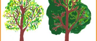 How to draw a tree with a pencil and paints for children: master class with step-by-step photos