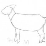 how to draw a baby goat step by step