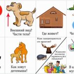 Summary of an open lesson on speech development in the middle group: “Drafting a description of animals from a picture using a mnemonic table”