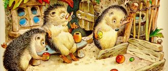 fairy tales about animals, hedgehog and hare, illustrations for fairy tales