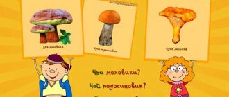 Тема грибы: речевые игры. Отгадай, чей гриб